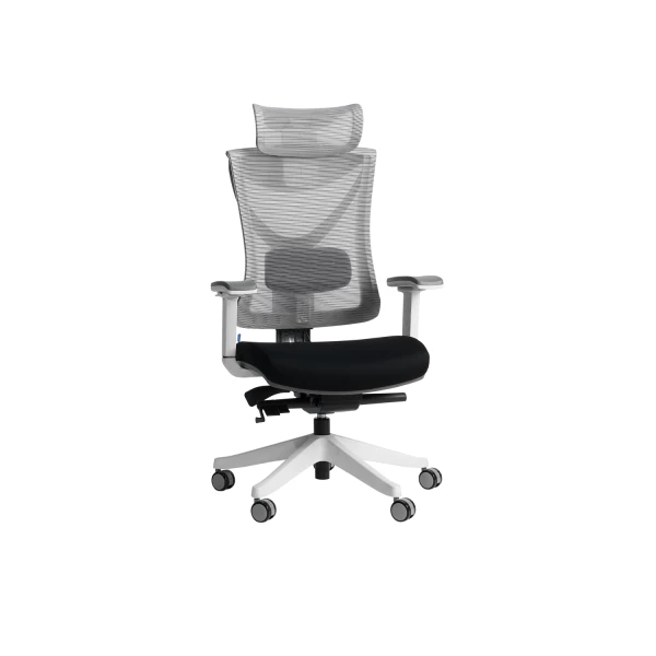 เก้าอี้ทำงานเพื่อสุขภาพ รุ่น Tuli เบาะผ้า Ergonomic Chair ปรับระดับความสูงของพนักพิงได้