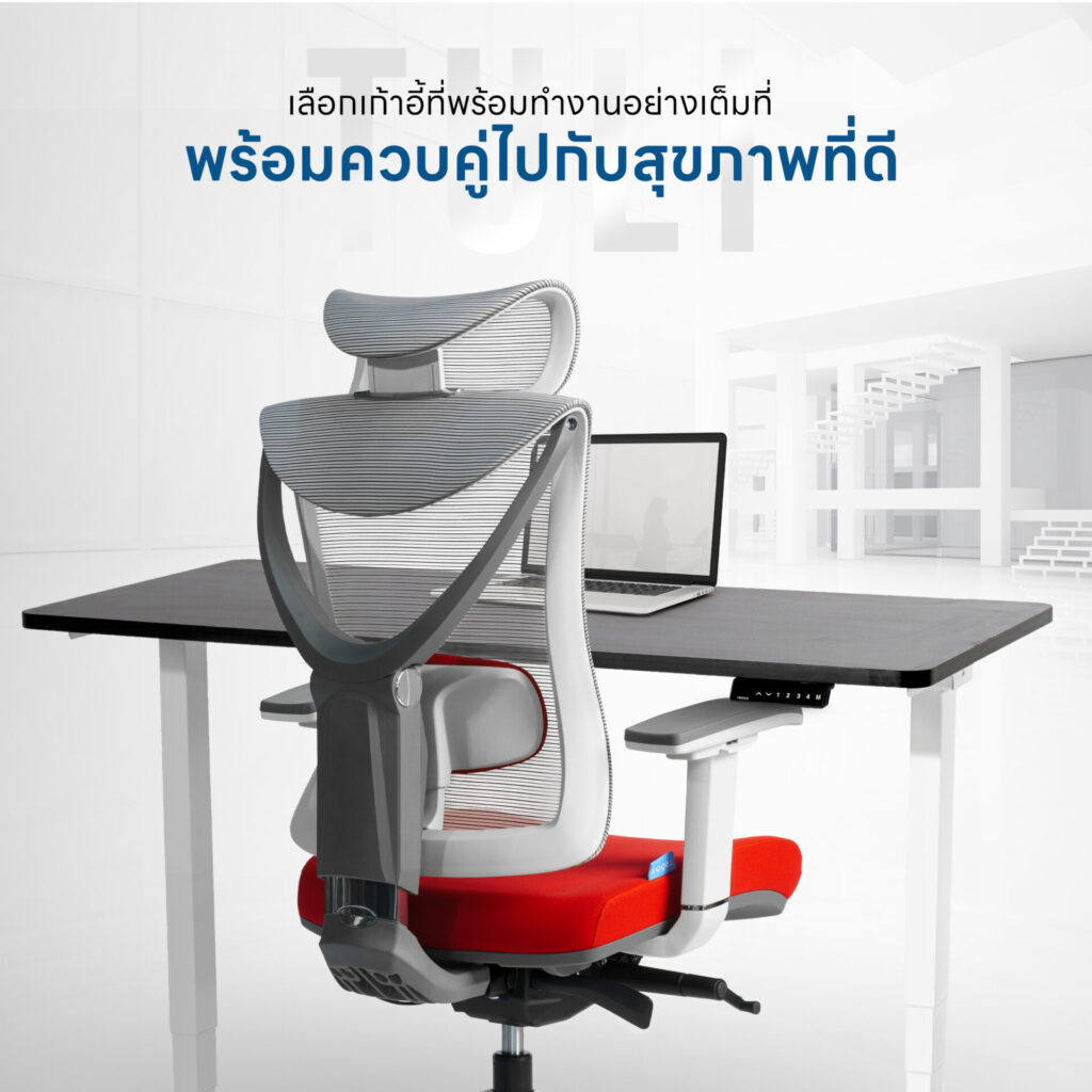 เก้าอี้เพื่อสุขภาพ DeskSpace Tuli Ergonomic Chair พนักพิงตาข่าย Mesh สำหรับแก้ปวดหลังและ Office Syndrome