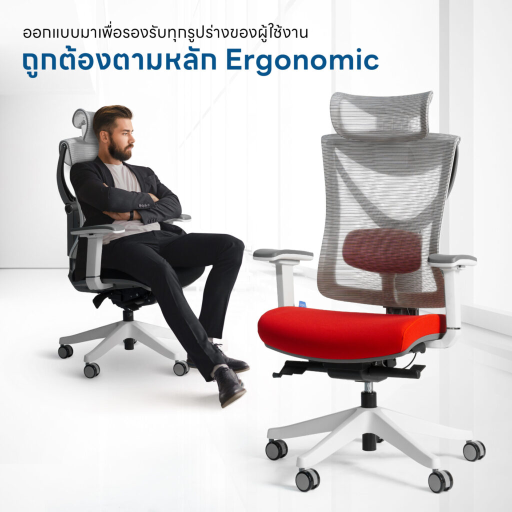 เก้าอี้เพื่อสุขภาพ DeskSpace Tuli Ergonomic Chair พนักพิงตาข่าย Mesh สีดำ