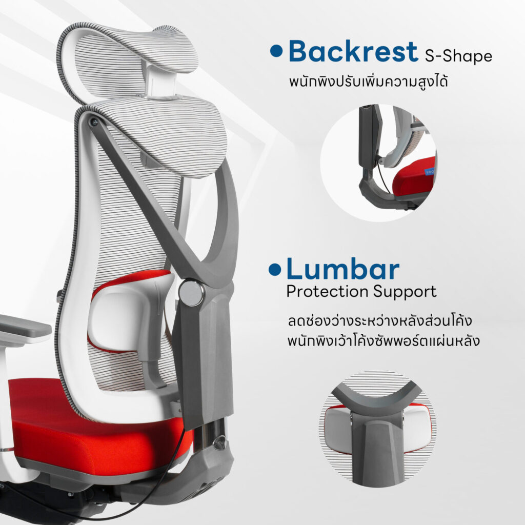 เก้าอี้เพื่อสุขภาพ DeskSpace Tuli Ergonomic Chair พนักพิงตาข่าย Mesh ปรับได้ ลดปวดหลัง