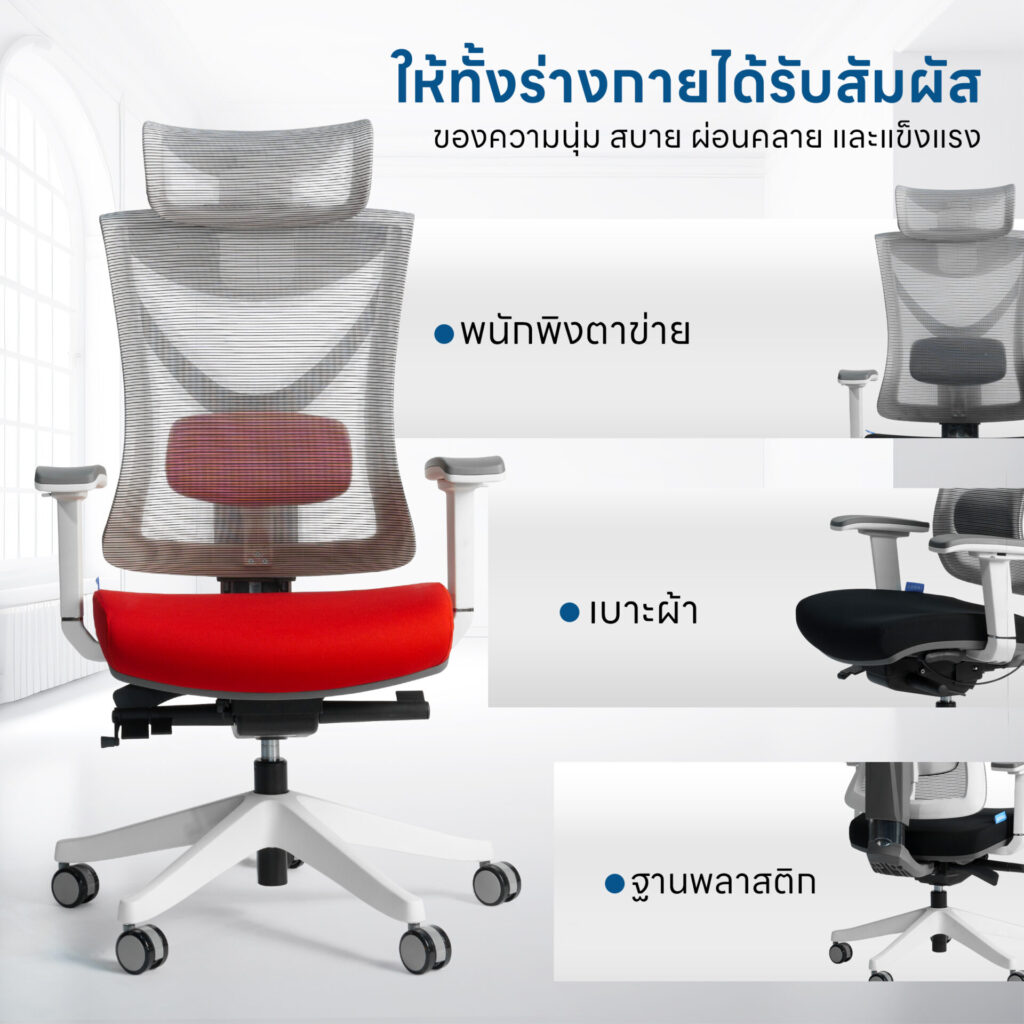 ภาพเก้าอี้เพื่อสุขภาพ DeskSpace Tuli Ergonomic Chair รุ่นพนักพิงตาข่าย Mesh สีดำ มุมมองด้านข้าง
