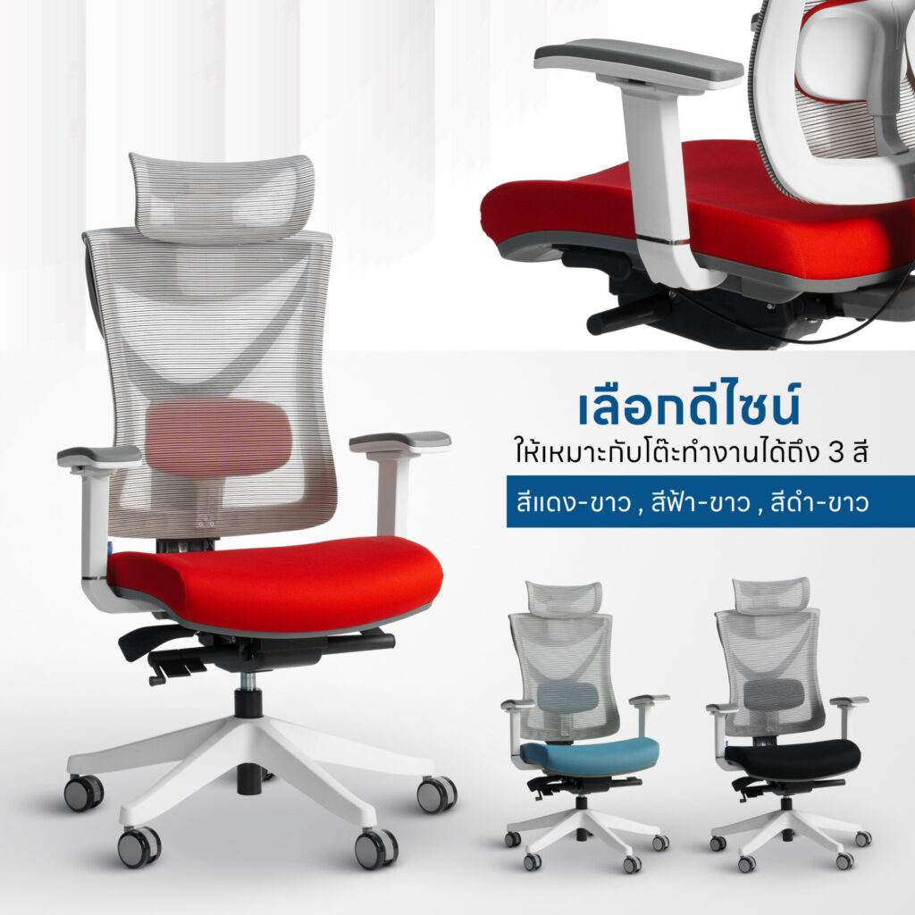 เก้าอี้เพื่อสุขภาพ DeskSpace Tuli Ergonomic Chair สีดำ พนักพิงตาข่าย Mesh