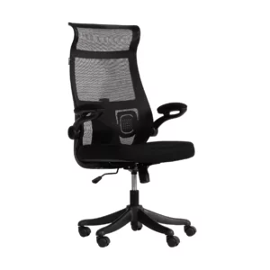 เก้าอี้เพื่อสุขภาพ รุ่น Nex Ergonomic chair