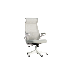 เก้าอี้สำนักงาน รุ่น Nex chair