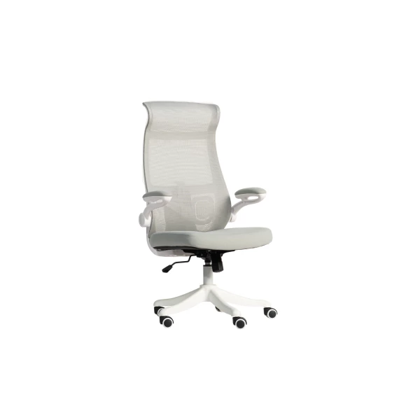 เก้าอี้สำนักงาน รุ่น Nex chair