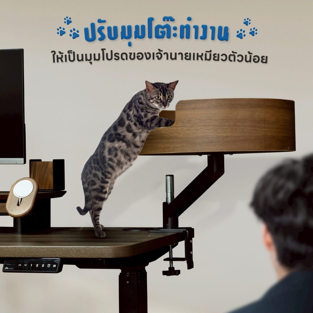 ที่นอนแมวหนีบโต๊ะ DeskSpace Cat Desk Bed เฟรมไม้ลามิเนต ติดกับโต๊ะทำงาน พร้อมแมวนอนสบาย