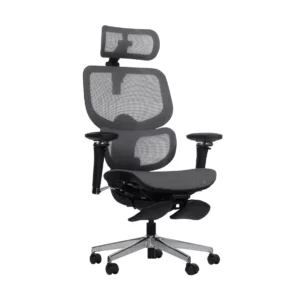เก้าอี้เพื่อสุขภาพ รุ่น Nebula Ergonomic Chair
